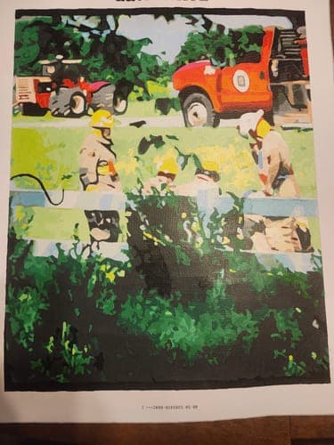 Customer review image 11
