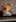 Customer review image 68