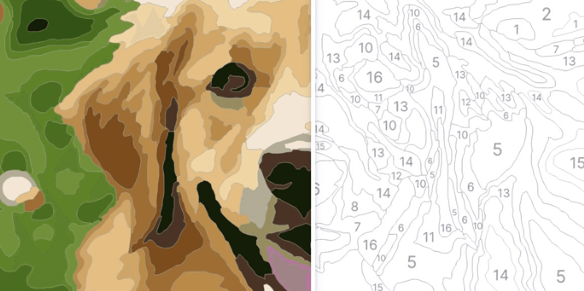 Guide Image