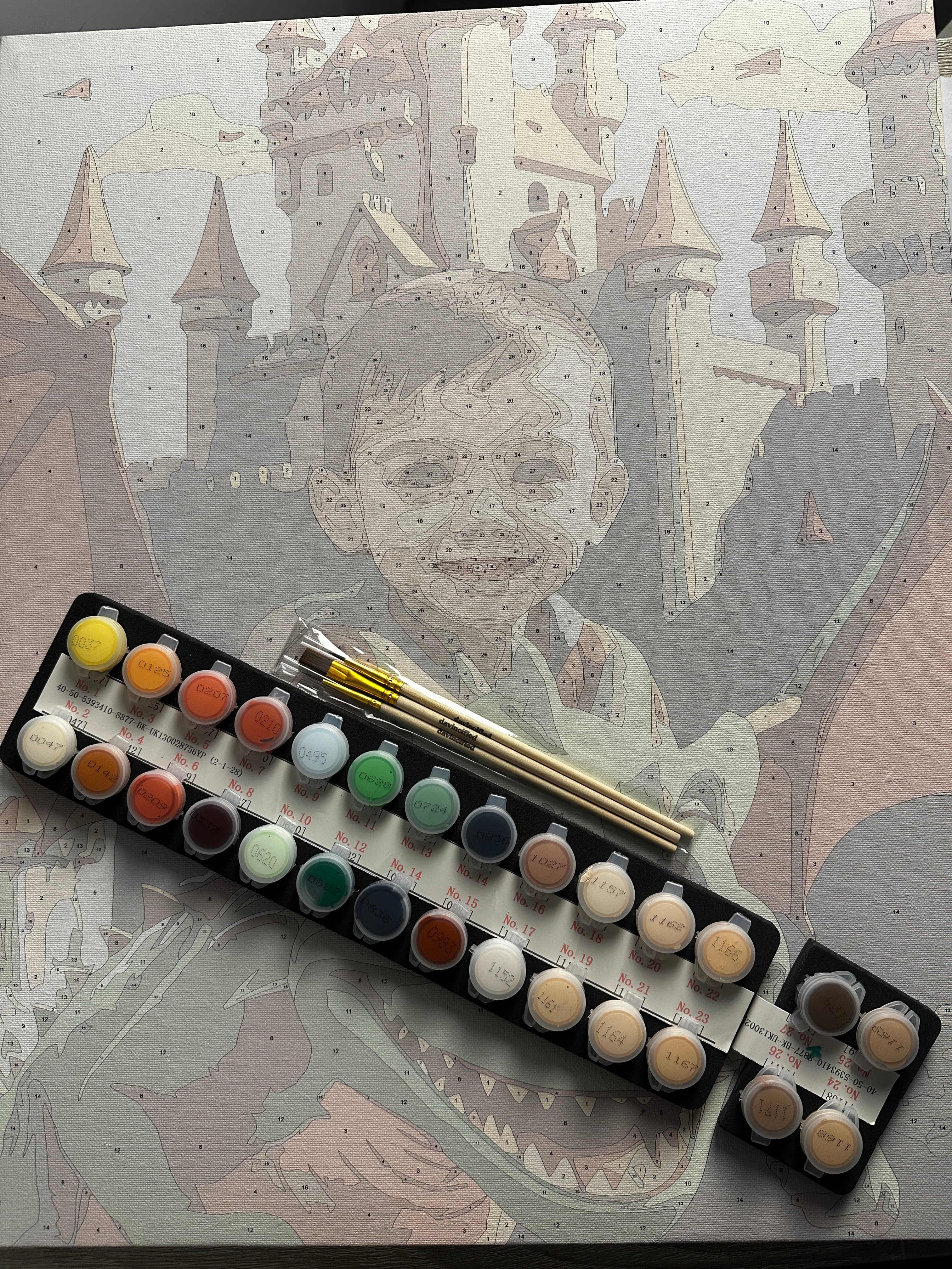 Complete Paint by Numbers Kit