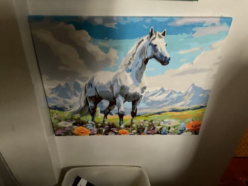 Customer review image 178